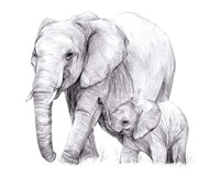 New Beginnings I Fine Art Print