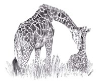 New Beginnings II Fine Art Print