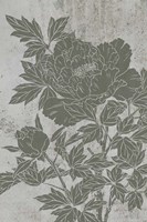 Blooming Peony II Fine Art Print