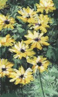 Floral Impressions I Framed Print