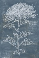 Indigo Dance II Fine Art Print