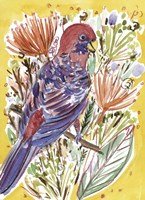 Tropical Portrait I Framed Print