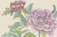 Peony Blooms I Fine Art Print