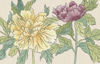 Peony Blooms II Fine Art Print