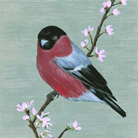 Bird & Blossoms I Fine Art Print