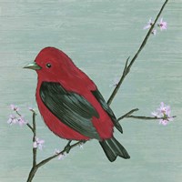 Bird & Blossoms III Fine Art Print