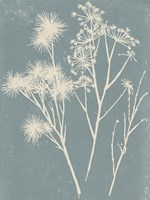 Small Spray I Fine Art Print