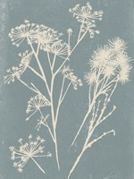 Small Spray II Fine Art Print