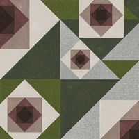 Garden Preview II Framed Print