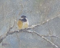 Chance of Snow I Fine Art Print