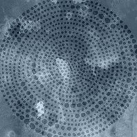 Indigo Wheel I Framed Print