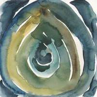 Peacock Reflection II Framed Print