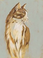 Lap Cat I Framed Print
