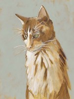 Lap Cat II Fine Art Print