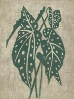 Vintage Greenery II Framed Print