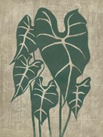 Vintage Greenery III Framed Print