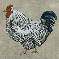 Roost IV Framed Print