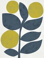 Branch I Framed Print