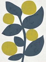 Branch II Framed Print