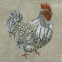 Roost I Framed Print