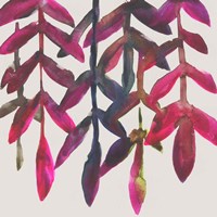 Fuchsia Vine I Fine Art Print