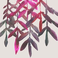 Fuchsia Vine II Fine Art Print