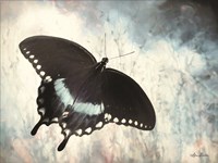 Teal Butterfly I Framed Print