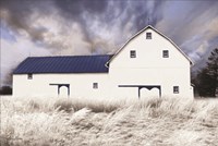 Blue Trimmed Barn Fine Art Print