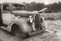 Stuck in the Mud Fine Art Print