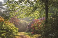 Garden of Eden Fine Art Print