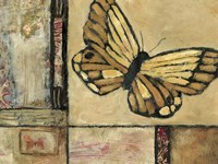 Butterfly in Border II Fine Art Print