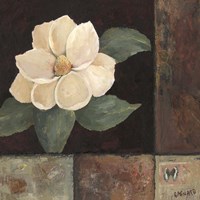 Magnolia Breeze II Fine Art Print