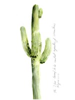 Cactus Verse V Framed Print