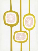 Paloma I Framed Print