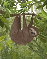 Sloth Hanging Around Fine Art Print