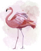 Fluffy Flamingo 1 Framed Print