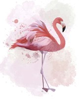 Fluffy Flamingo 2 Fine Art Print