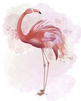 Fluffy Flamingo 3 Framed Print