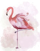 Fluffy Flamingo 4 Framed Print