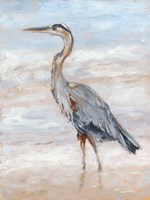 Beach Heron II Framed Print