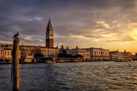 Bird's View Fine Art Print