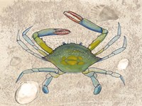 Crabulous II Fine Art Print