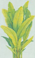 Chartreuse Tropical Foliage I Framed Print