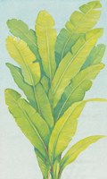 Chartreuse Tropical Foliage II Fine Art Print