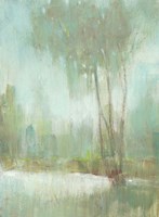 Mist in the Glen II Fine Art Print