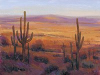 Desert Light II Fine Art Print