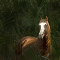 Wild II Fine Art Print