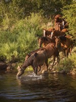 River Horses I Fine Art Print