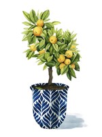 Fruit Tree I Fine Art Print