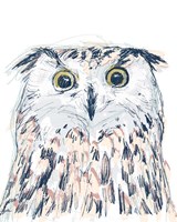 Funky Owl Portrait II Fine Art Print
